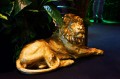 Las_Plumas_Leonardo_realizacja_Warsaw_home (1).jpg