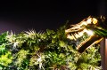 Las_Plumas_Zdjęcia_Kinkiety_Warsaw_home_blas (1).jpg