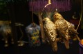 DSC09086.JPG