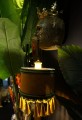 DSC09176.jpg