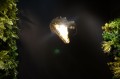 DSC08830.JPG