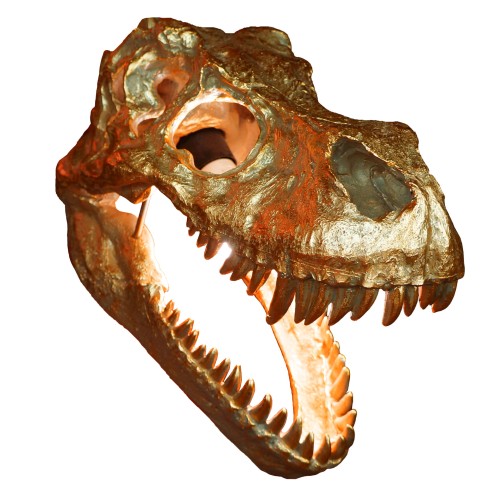 LPBA01_BLAS.jpg