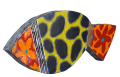 NEMO (2).png