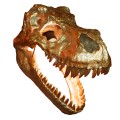 LPBA01_BLAS.jpg