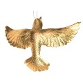 LP_FIG_XS_03_03.jpg