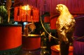 Las_Plumas_Galeria_68.jpg
