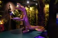 DSC09194.JPG