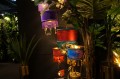 DSC09150.JPG