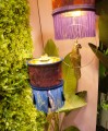 DSC09510.jpg