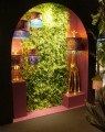 DSC09565.jpg