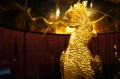 DSC09052.JPG