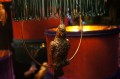 DSC09053.JPG