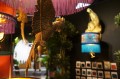 DSC09055.JPG