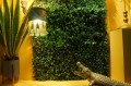 DSC08772.JPG