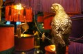 DSC09047.JPG