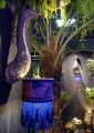DSC09368.jpg